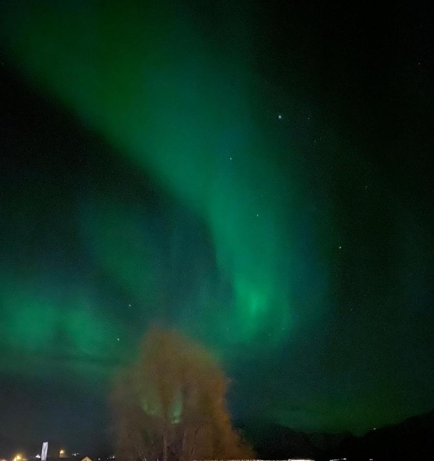 Lyngen, Mackay Appartment, Lyngen Lyngseidet ภายนอก รูปภาพ