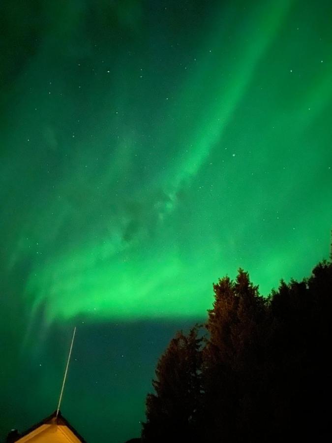 Lyngen, Mackay Appartment, Lyngen Lyngseidet ภายนอก รูปภาพ