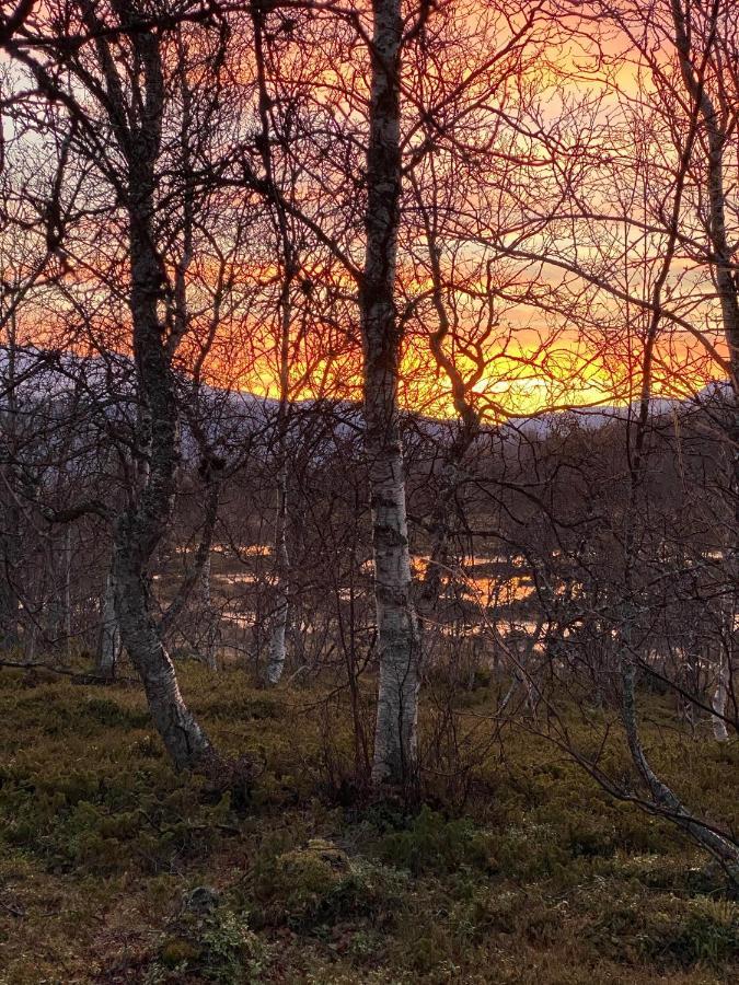 Lyngen, Mackay Appartment, Lyngen Lyngseidet ภายนอก รูปภาพ